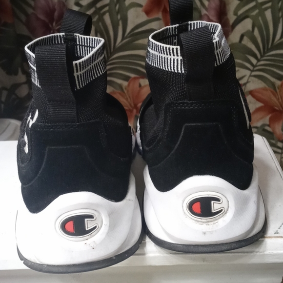 Champion - Picture 3 of 3